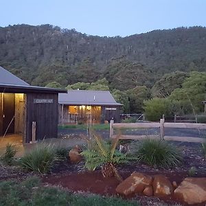 לינה וארוחת בוקר פנגווין Rustic Hut Bush Retreat Exterior photo