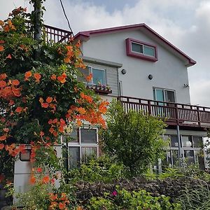 סאוגוויפו Bangdigareum B&B Exterior photo