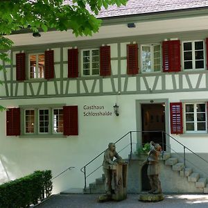 מלון ווינטרטהור Gasthaus Schlosshalde Exterior photo