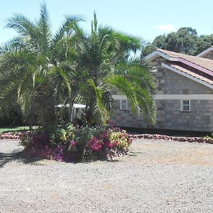 אלדורט Meg'S Guest House Exterior photo