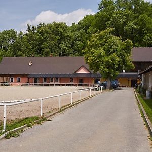 הוילה Rožnov pod Radhoštěm Penzion Hradisko Exterior photo