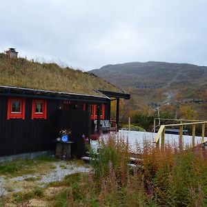 הוילה Vågsli Haukeli Mountain Cabin Exterior photo