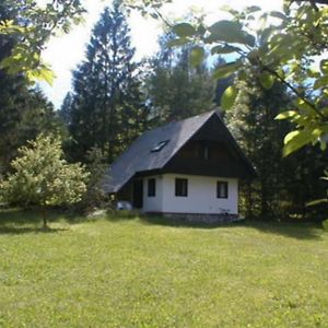 מלון Ukanc Apartmaji In Sobe Bohinjsko Jezero Exterior photo