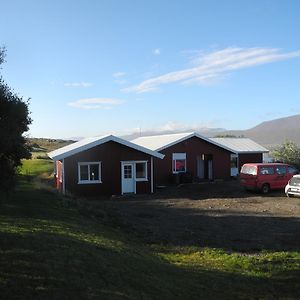 Saudarkrokur Icelandhorsetours - Helluland Exterior photo