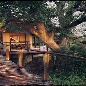 Thulamahashi The River Lodge At Thornybush Exterior photo