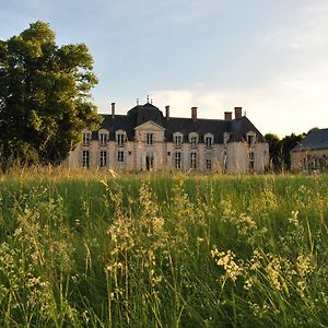 Baccon Chateau La Touanne Loire Valley Exterior photo