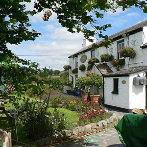 Marytavy The Elephants Nest Inn Exterior photo