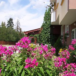 סמוקוב Guest House Zodiac Exterior photo