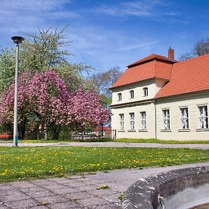 מלון בראנדנבורג Gaestehaus Schloss Plaue Exterior photo