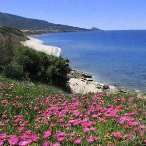 אפרטהוטל ואלדוריה Residenza Sul Mare Exterior photo