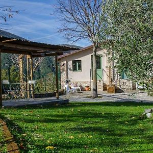 Serra San Quirico Le Voltarelle Bed & Breakfast Exterior photo