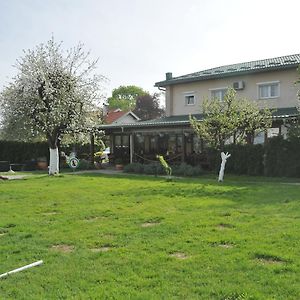 לינה וארוחת בוקר Hrvatski Leskovac Klet Cinkus Exterior photo