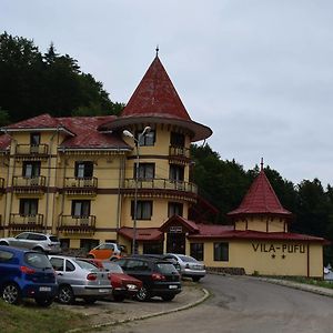 מלון סלניק מולדובה Vila Pufu Exterior photo