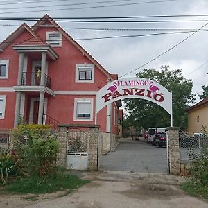 לינה וארוחת בוקר Székesfehérvár Flamingo Panzio Exterior photo