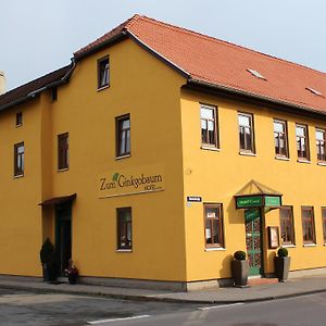 מלון Stadtilm Zum Ginkgobaum Exterior photo
