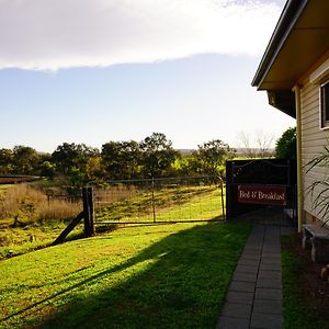 לינה וארוחת בוקר Muswellbrook Northside Bed & Breakfast Exterior photo