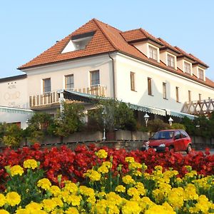 Bad Schönau Hotel Geier Exterior photo