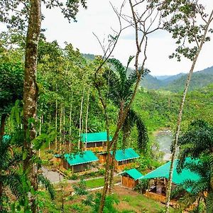 מלון טוריאלבה Pacuare Outdoor Center Exterior photo