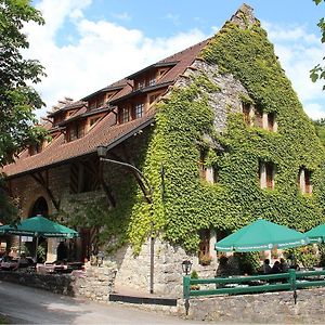 Hohentengen am Hochrhein Wasserstelz Historisches Genusshotel & Restaurant Am Rhein Exterior photo