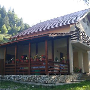 מלון Casa Maia Dambovicioara Exterior photo