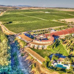 סיודאד ריאל Hotel Bodega Pago Del Vicario Exterior photo