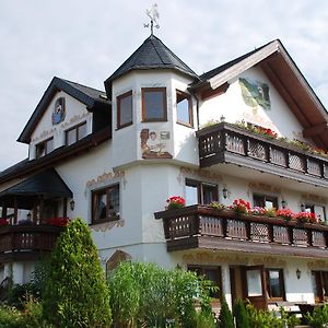 Markneukirchen Hotel Alpenhof Exterior photo
