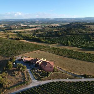 Villemoustaussou O'Vineyards B&B Carcassonne Exterior photo