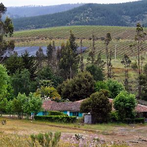 לינה וארוחת בוקר Paredones Casa Azul De San Pancho Exterior photo