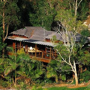 הוילה אוקי Wollumbin Palms Rainforest Retreat Exterior photo