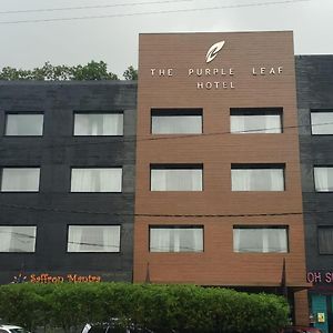 היידראבד The Purple Leaf Hotels Exterior photo