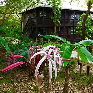 Mud Hole Upachaya Eco-Lodge & Wellness Resort Exterior photo