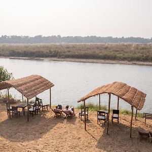 מלון סאורהה Jungle Wildlife Camp Exterior photo