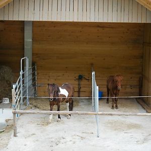 דירות סנט-אורסאנה La Joux Chaupe Exterior photo