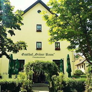 טאוברבישופסהיים Hotel-Landgasthof Gruener Baum - Dittigheim Exterior photo