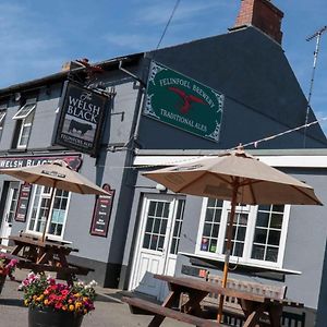 Llandre The Welsh Black Inn Exterior photo