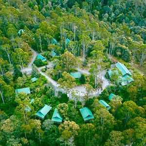 מלון Moina Lemonthyme Wilderness Retreat Exterior photo