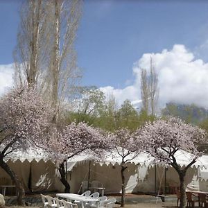 Hundar Royal Deluxe Camp & Resort, Hunder- Nubra Exterior photo