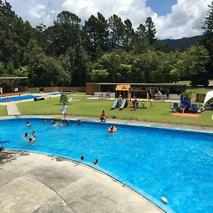 קאטיקאטי Sapphire Springs Holiday Park And Thermal Pools Exterior photo