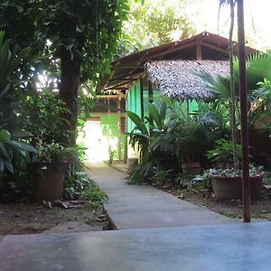 פוארטו מלדונדו Tambopata Hostel Bambu Exterior photo