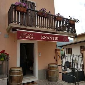 Belluno Veronese B&B Enantio Exterior photo