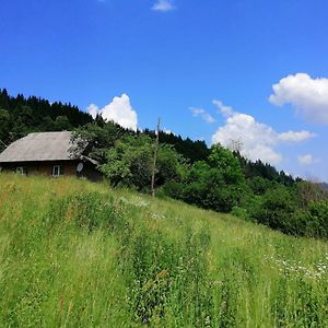 Lopushnoye Cottage Svitanok Exterior photo