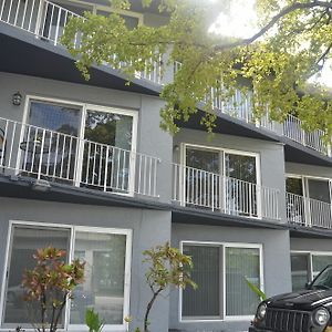 קוראל גייבלס Coconut Grove Apartments Exterior photo