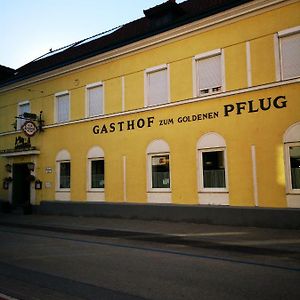 מלון אמשטטן Gasthof Zum Goldenen Pflug Exterior photo