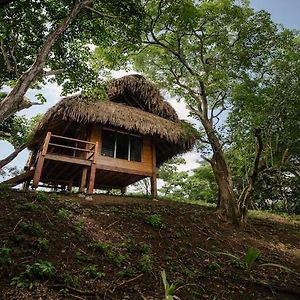 Eco Venao Lodge, פלאיה ונאו Exterior photo