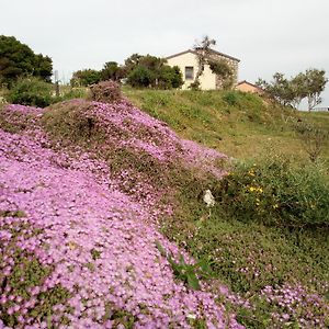 מלון פאלאו Tenuta Petra Bianca Exterior photo