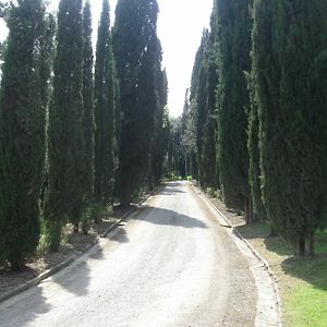 הוילה פרוג'ה Agriturismo Il Poggiolo Exterior photo