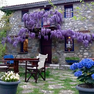 Ktistades Marina'S Stone Cottage Exterior photo