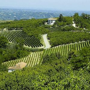 הוילה Mango Agriturismo Cascina Anri Exterior photo