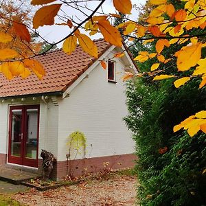 הוילה Vaassen Dennenhuis Exterior photo