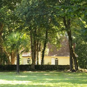 הוילה Pouillon La Chapelle Du Chateau Gite Exterior photo